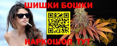 соль ск Партизанск