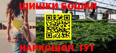 стаф Пенза