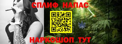 стаф Пенза