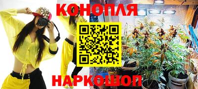 стаф Пенза