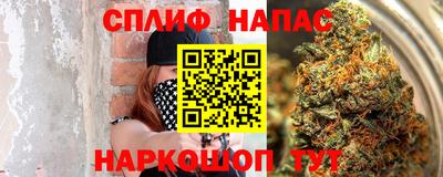 стаф Пенза