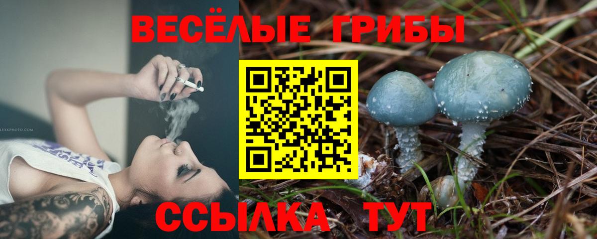 Псилоцибиновые грибы Psilocybine cubensis Рубцовск